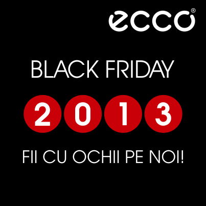 FACEBOOK-403x403px-BLACK-FRIDAY-23-octombrie-2013-V1