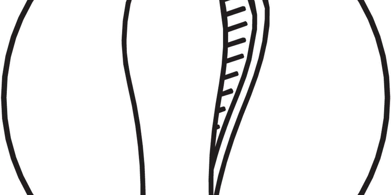 DUAL FIT