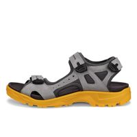 Sandale outdoor barbati ECCO Offroad (Wild dove / Grey)