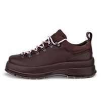 Pantofi outdoor dama ECCO Track 30 W (Brown) Pantofi outdoor dama ECCO Track 30 W (Brown)