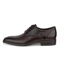 Pantofi business barbati ECCO Metropole Milan M (Brown)