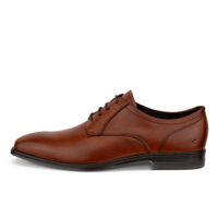 Pantofi business barbati ECCO Queenstown M (Brown)