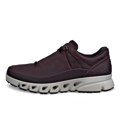 Pantofi sport-casual barbati ECCO Multi-Vent M (Brown / Garnet