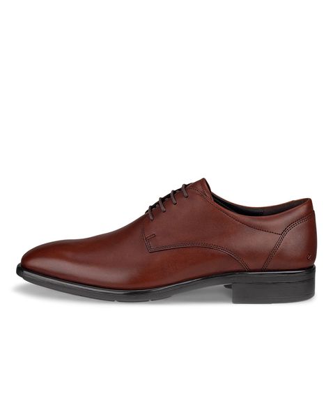 Pantofi business barbati ECCO Citytray M (Brown / Cognac)