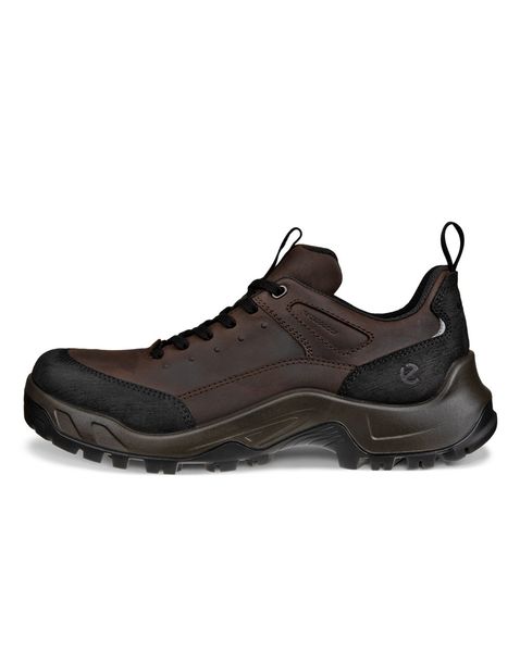 Pantofi outdoor barbati ECCO Offroad M (Brown / Mocha)
