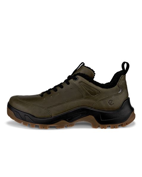 Pantofi outdoor barbati ECCO Offroad M (Green)