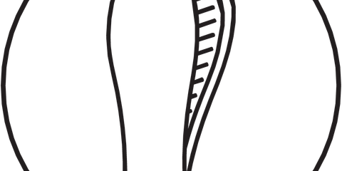 DUAL FIT