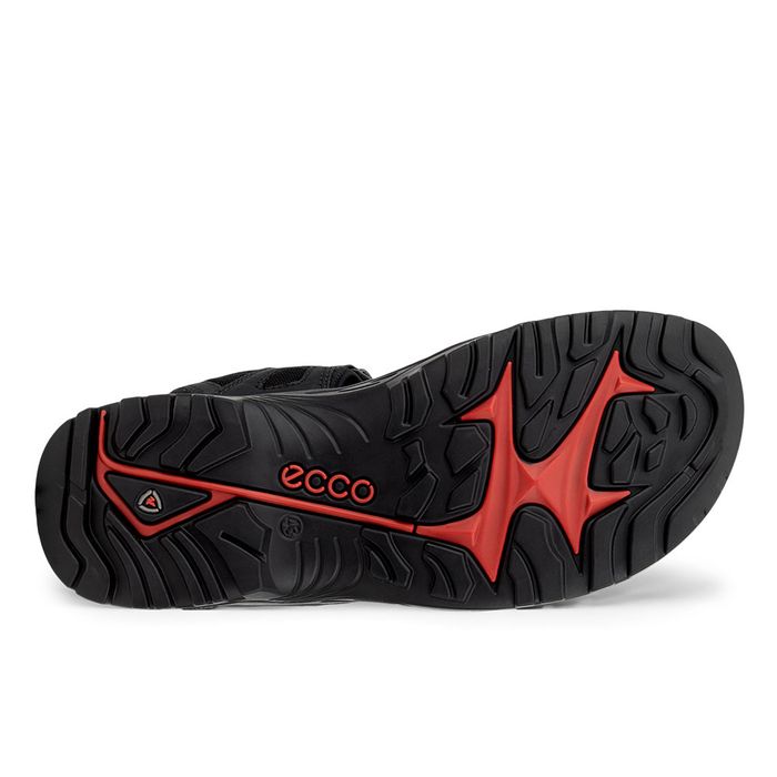 Sandale outdoor barbati ECCO Offroad M (Black) | ECCO® Site