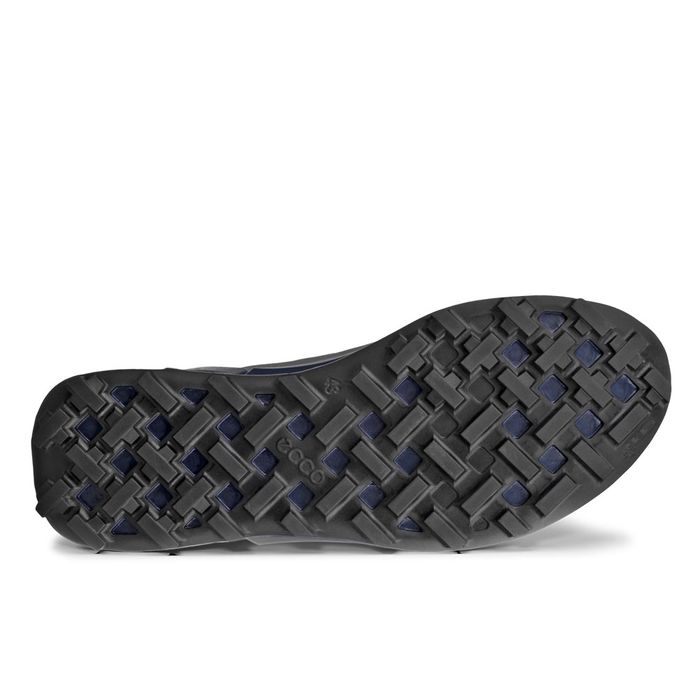 Sneakers sport barbati ECCO BIOM 2.1 X Country M (Blue / Navy