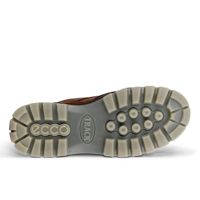 Pantofi outdoor barbati ECCO Track 25 (Brown / Bison) | ECCO® Site