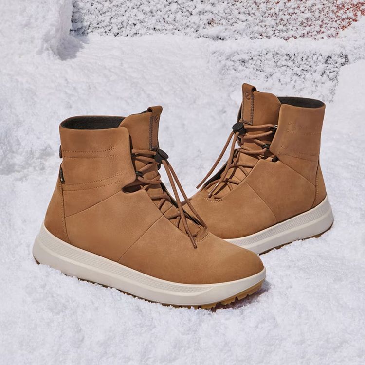 image-alt-691291a3b38f0