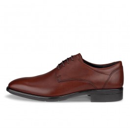 Pantofi business barbati ECCO Citytray M (Brown / Cognac)