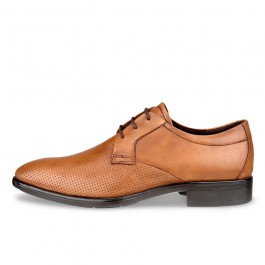 Pantofi business barbati ECCO Citytray (Brown / Amber)