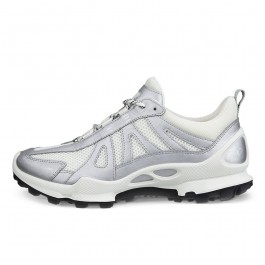 Pantofi sport dama ECCO Biom C-Trail W (Silver metallic / White)