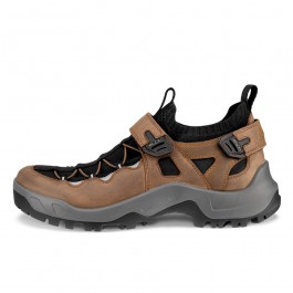 Pantofi outdoor barbati ECCO Offroad M (Cocoa brown / Camel)