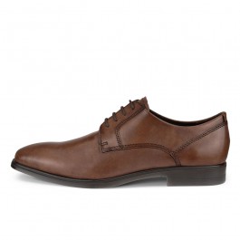 Pantofi business barbati ECCO Queenstown (Brown / Amber)