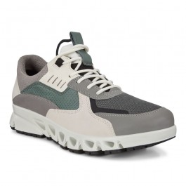 Pantofi sport-casual barbati ECCO Multi-Vent M (Grey / Multicolor)
