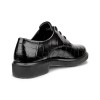 Pantofi business dama ECCO Metropole Amsterdam (Black)