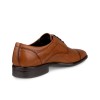 Pantofi business barbati ECCO Citytray (Brown / Amber)