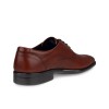 Pantofi business barbati ECCO Citytray M (Brown / Cognac)