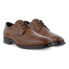 Pantofi business barbati ECCO Citytray (Brown / Amber)