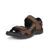 Sandale outdoor barbati ECCO Onroads M (Cocoa Brown)