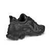 Pantofi sport dama ECCO Biom C-Trail W (Black)