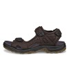 Sandale outdoor barbati ECCO Offroad (Brown / Mocha)