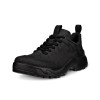 Pantofi outdoor barbati ECCO Offroad M (Black)