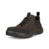 Pantofi outdoor barbati ECCO Offroad M (Brown / Mocha)