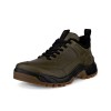 Pantofi outdoor barbati ECCO Offroad M (Green)