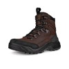 Ghete outdoor barbati ECCO Offroad M (Brown / Mocha)
