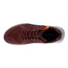 Sneakers sport barbati ECCO BIOM 2.1 X Country M (Brown / Chocolat)
