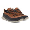 Pantofi outdoor barbati ECCO ULT-TRN M (Brown / Black)