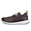 Sneakers sport barbati ECCO Biom 2.2 M (Brown / Mocha)