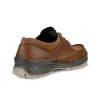 Pantofi outdoor barbati ECCO Track 25 (Brown / Bison)