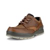 Pantofi outdoor barbati ECCO Track 25 (Brown / Bison)
