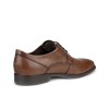 Pantofi business barbati ECCO Queenstown (Brown / Amber)